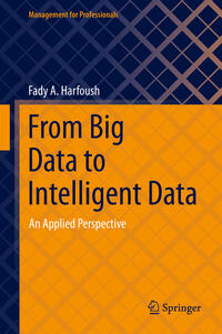 Vorderes Coverbild From Big Data to Intelligent Data