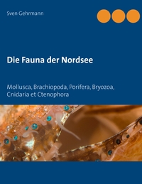 Vorderes Coverbild Die Fauna der Nordsee