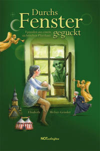 Vorderes Coverbild Durchs Fenster geguckt