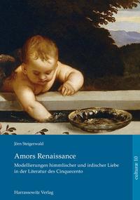 Vorderes Coverbild Amors Renaissance.
