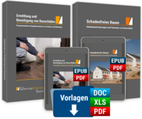 Vorderes Coverbild Schadenfreies Bauen sowie Ermittlung und Beseitigung von Bauschäden