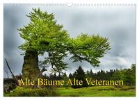 Vorderes Coverbild Alte Bäume Alte Veteranen (Wandkalender 2026 DIN A3 quer), CALVENDO Monatskalender