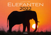 Vorderes Coverbild Elefanten 2022