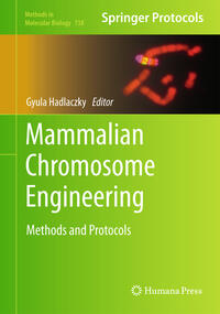 Vorderes Coverbild Mammalian Chromosome Engineering