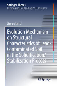 Vorderes Coverbild Evolution Mechanism on Structural Characteristics of Lead-Contaminated Soil in the Solidification/Stabilization Process