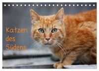 Vorderes Coverbild Katzen des Südens (Tischkalender 2025 DIN A5 quer), CALVENDO Monatskalender