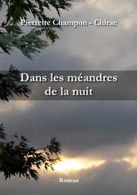 Vorderes Coverbild Dans les méandres de la nuit