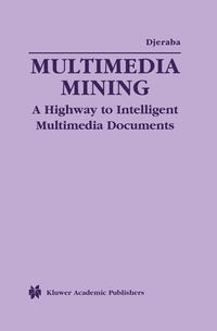 Vorderes Coverbild Multimedia Mining