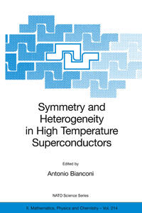 Vorderes Coverbild Symmetry and Heterogeneity in High Temperature Superconductors