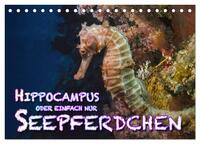 Vorderes Coverbild Hippocampus oder einfach nur Seepferdchen (Tischkalender 2025 DIN A5 quer), CALVENDO Monatskalender