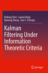 Vorderes Coverbild Kalman Filtering Under Information Theoretic Criteria
