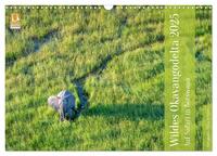 Vorderes Coverbild Wildes Okavangodelta (Wandkalender 2025 DIN A3 quer), CALVENDO Monatskalender