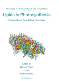 Vorderes Coverbild Lipids in Photosynthesis