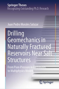 Vorderes Coverbild Drilling Geomechanics in Naturally Fractured Reservoirs Near Salt Structures
