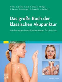 Vorderes Coverbild Das große Buch der klassischen Akupunktur