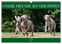 Vorderes Coverbild Unsere Freunde auf vier Pfoten - Hunde (Wandkalender 2025 DIN A3 quer), CALVENDO Monatskalender