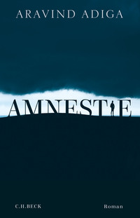 Vorderes Coverbild Amnestie