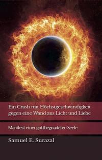 Vorderes Coverbild Ein Crash mit Höchstgeschwindigkeit gegen eine Wand aus Licht und Liebe