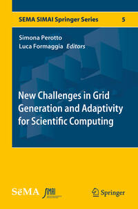 Vorderes Coverbild New Challenges in Grid Generation and Adaptivity for Scientific Computing