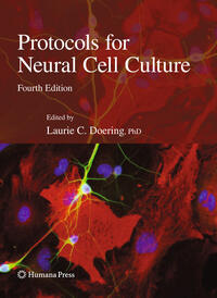 Vorderes Coverbild Protocols for Neural Cell Culture