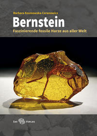 Vorderes Coverbild Bernstein