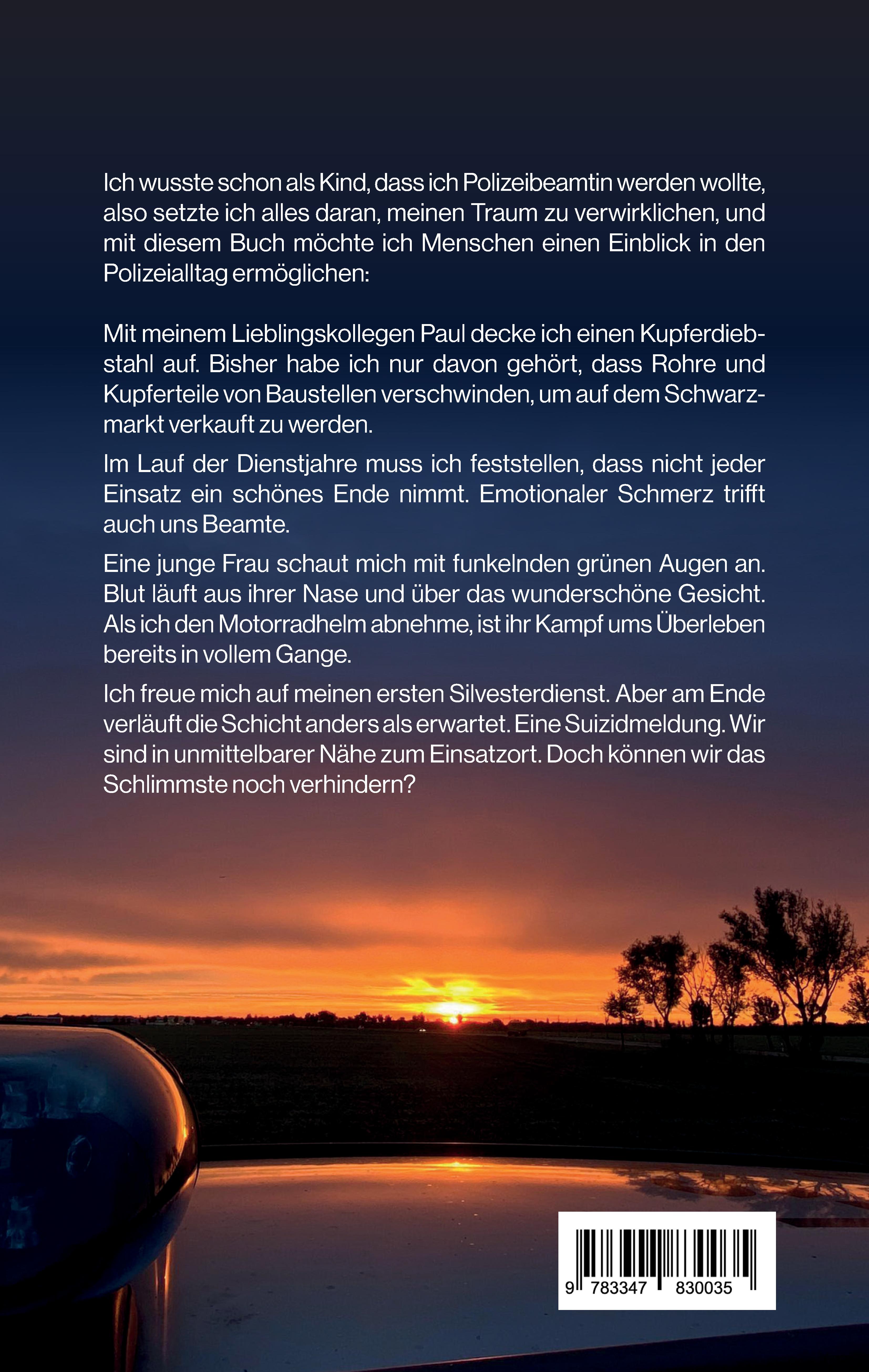 Rückseitencover Wenn blaues Licht die Nacht erhellt