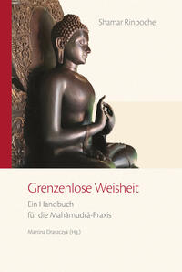 Vorderes Coverbild Grenzenlose Weisheit