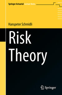 Vorderes Coverbild Risk Theory