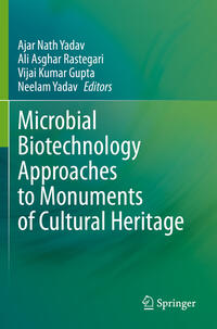 Vorderes Coverbild Microbial Biotechnology Approaches to Monuments of Cultural Heritage