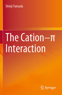 Vorderes Coverbild The Cation–p Interaction