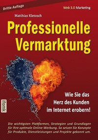 Vorderes Coverbild Professionelle Vermarktung und Kampagnengestaltung im Internet