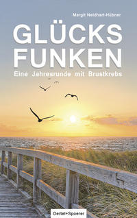 Vorderes Coverbild Glücksfunken