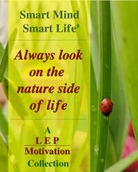 Vorderes Coverbild SMART MIND SMART LIFE8