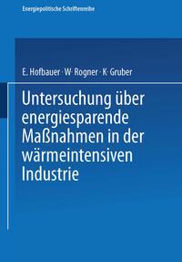 Vorderes Coverbild Untersuchung über energiesparende Maßnahmen in der wärmeintensiven Industrie