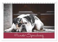 Vorderes Coverbild Hunde-Spruchreif (Tischkalender 2026 DIN A5 quer), CALVENDO Monatskalender