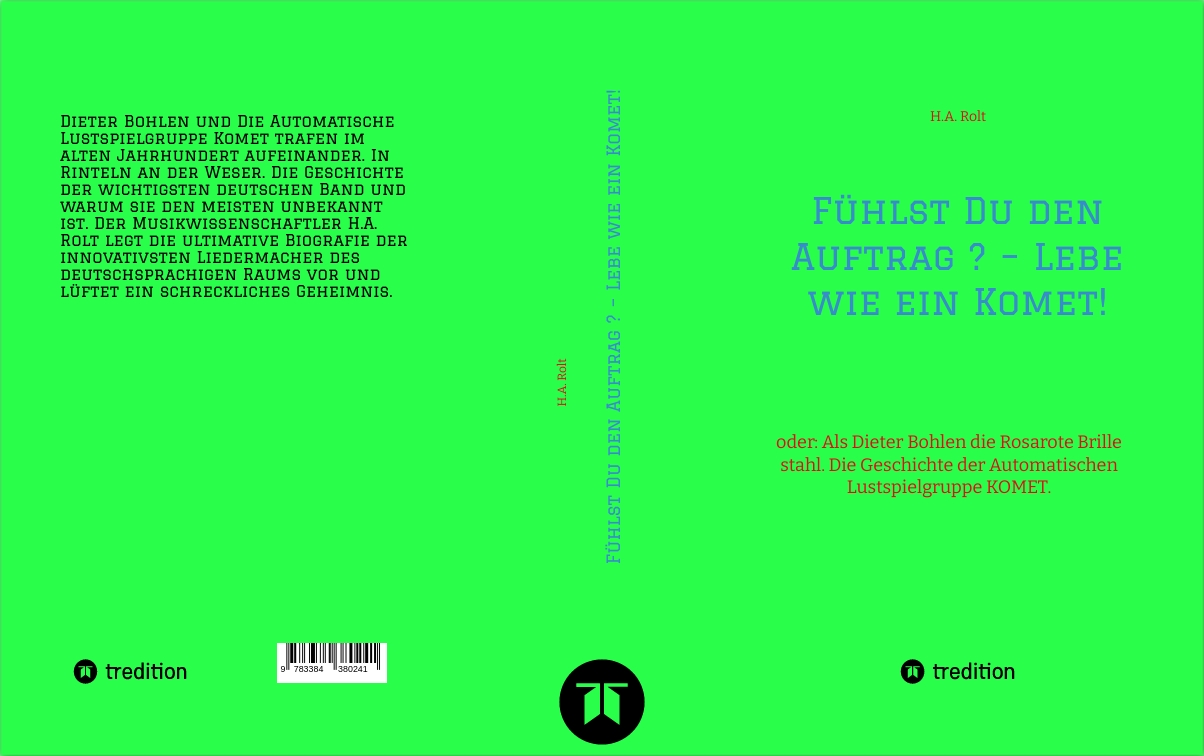 Gesamtes Coverbild Fühlst Du den Auftrag ? – Lebe wie ein Komet!