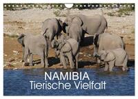 Vorderes Coverbild Namibia - Tierische Vielfalt (Wandkalender 2026 DIN A4 quer), CALVENDO Monatskalender