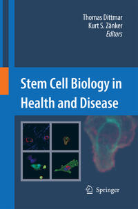 Vorderes Coverbild Stem Cell Biology in Health and Disease