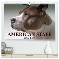 Vorderes Coverbild American Staff und Co. (hochwertiger Premium Wandkalender 2025 DIN A2 quer), Kunstdruck in Hochglanz