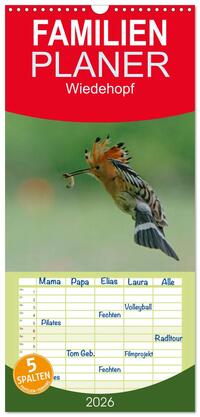 Vorderes Coverbild Familienplaner 2026 - Wiedehopf mit 5 Spalten (Wandkalender, 21 x 45 cm) CALVENDO