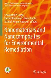 Vorderes Coverbild Nanomaterials and Nanocomposites for Environmental Remediation