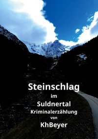Vorderes Coverbild Steinschlag im Suldnertal