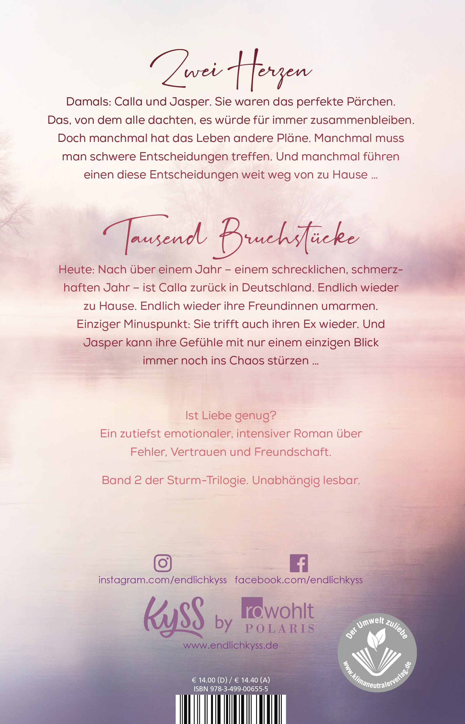 Rückseitencover Nebelschimmer