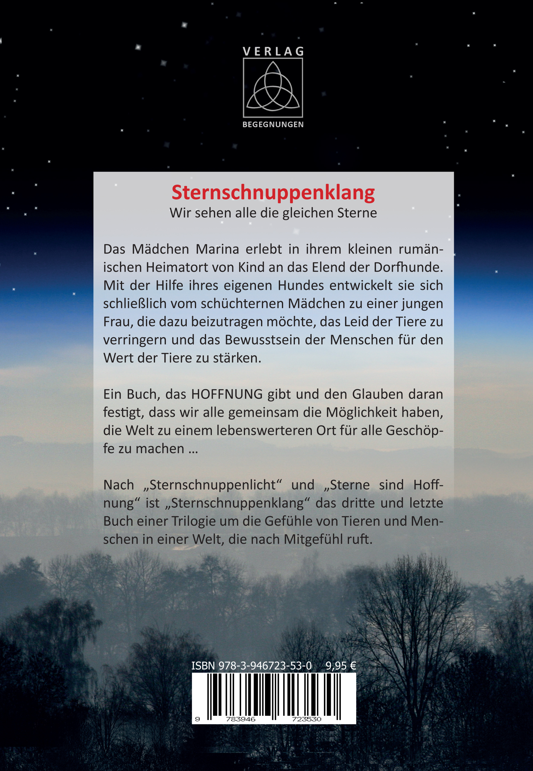 Rückseitencover Sternschnuppenklang