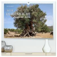 Vorderes Coverbild ALTE OLIVENBÄUME Zeugen der Antike (hochwertiger Premium Wandkalender 2026 DIN A2 quer), Kunstdruck in Hochglanz