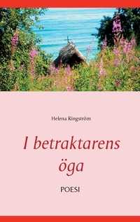 Vorderes Coverbild I betraktarens öga