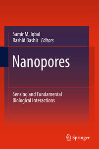 Vorderes Coverbild Nanopores