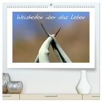 Vorderes Coverbild Weisheiten über das Leben (hochwertiger Premium Wandkalender 2025 DIN A2 quer), Kunstdruck in Hochglanz
