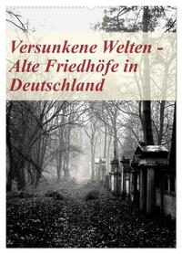 Vorderes Coverbild Versunkene Welten - Alte Friedhöfe in Deutschland (Wandkalender 2026 DIN A2 hoch), CALVENDO Monatskalender