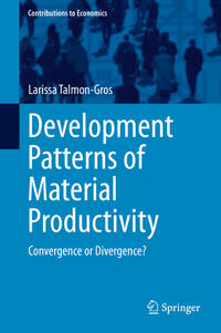 Vorderes Coverbild Development Patterns of Material Productivity